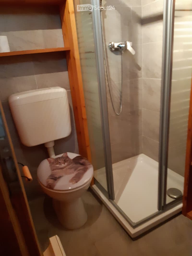 Piccolo chalet ristrutturato e arredato in affitto (5)