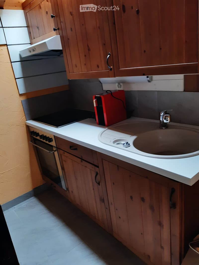 Piccolo chalet ristrutturato e arredato in affitto (4)