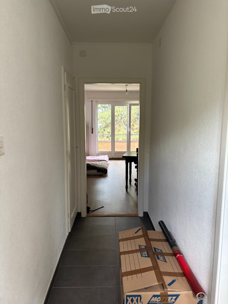 Affitto il mio appartamento (1)