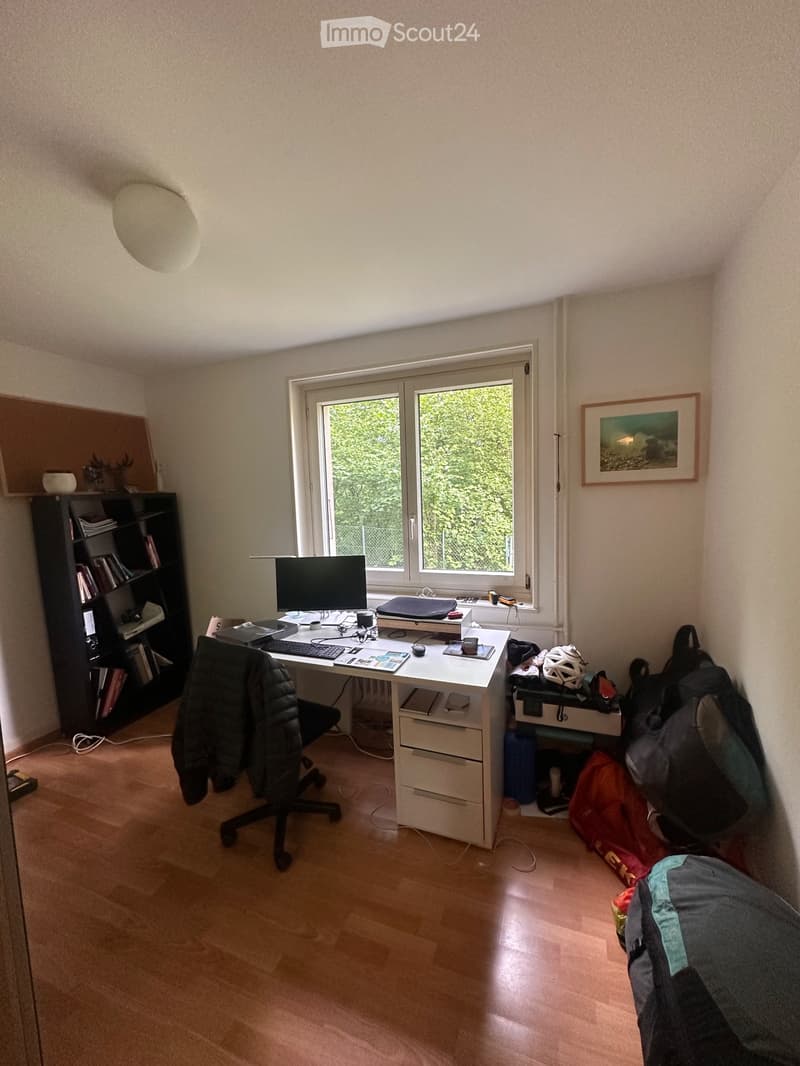 Ripreso in affitto 3.5 locali (4)
