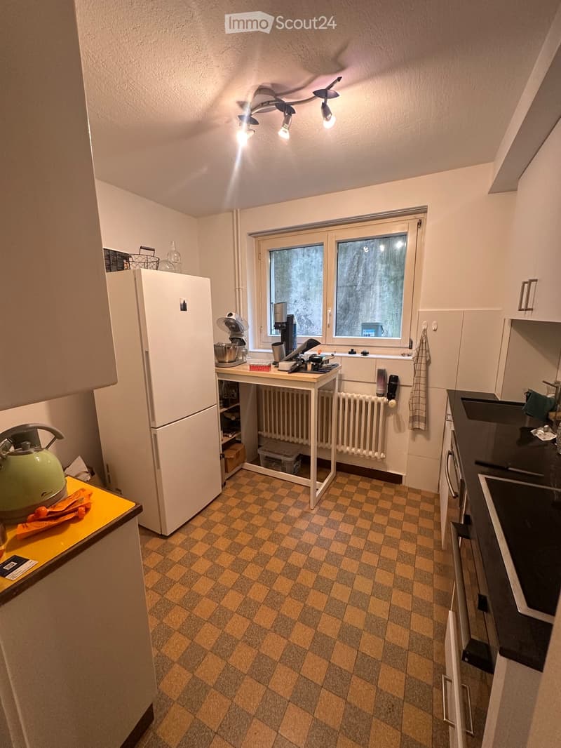 Ripreso in affitto 3.5 locali (5)