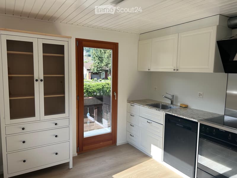 Casa unifamiliare - Prima locazione dopo ristrutturazione completa (3)