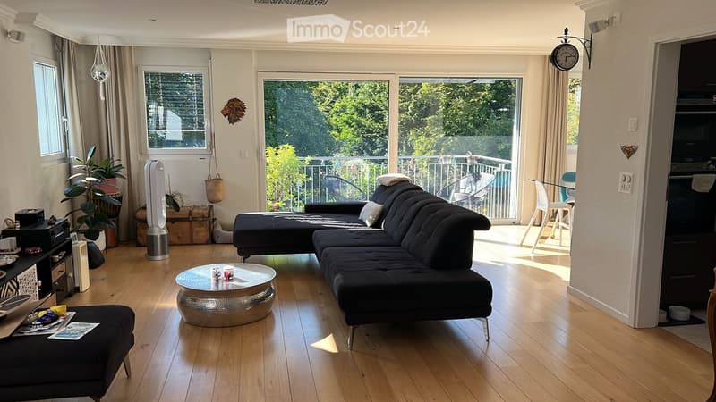 Bellissimo duplex di 4.5 locali con terrazza, jacuzzi e giardino (3)