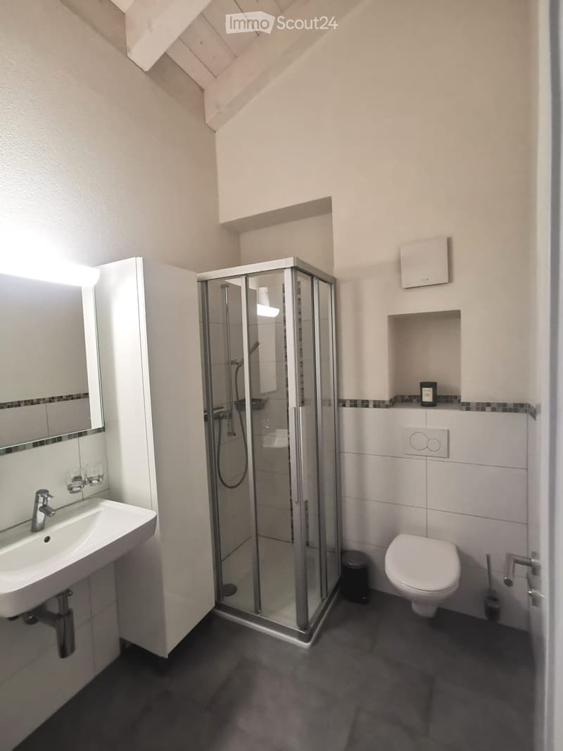 2,5 locali in attico a Savièse (4)