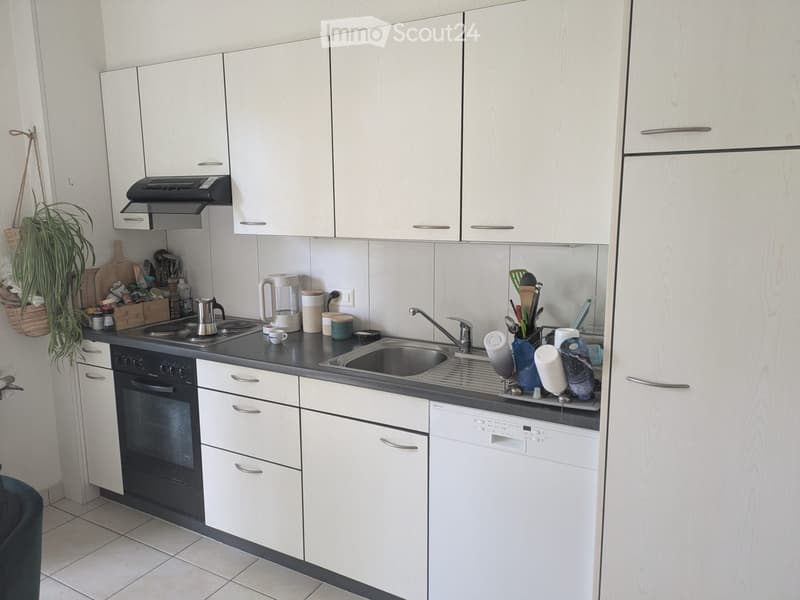 Delizioso appartamento di 2,5 locali con balcone a Friburgo (2)