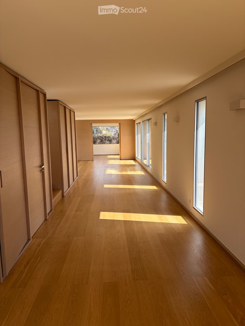 Beautiful attic apartment (4)