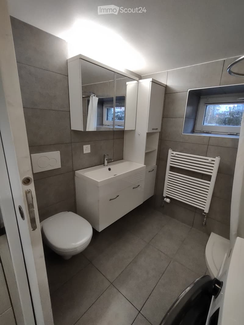 Monolocale a Cernier, con ingresso indipendente, giardinetto. (5)