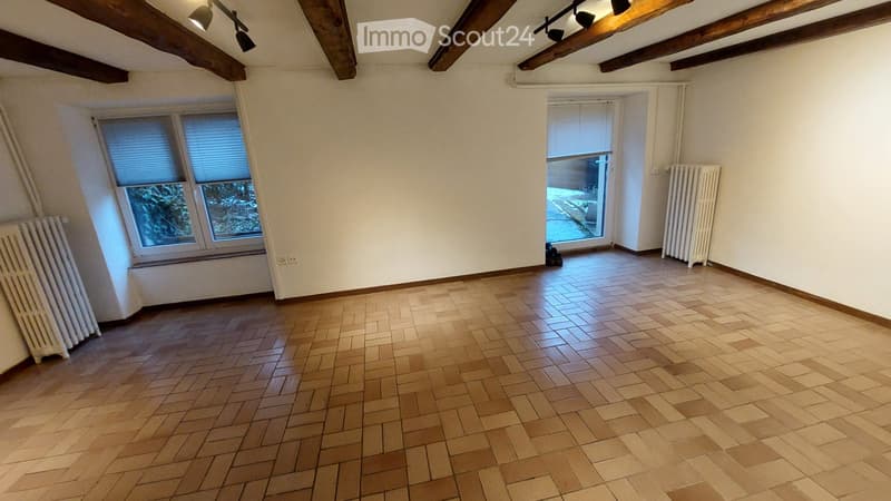 Monolocale a Cernier, con ingresso indipendente, giardinetto. (1)