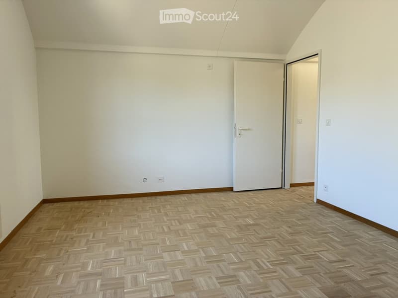 Meraviglioso appartamento duplex nel cuore di Nyon (4)