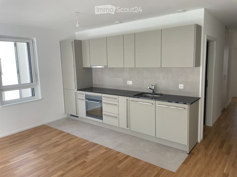 Bellissimo appartamento nuovo di 3.5 locali con balcone a Sion (3)