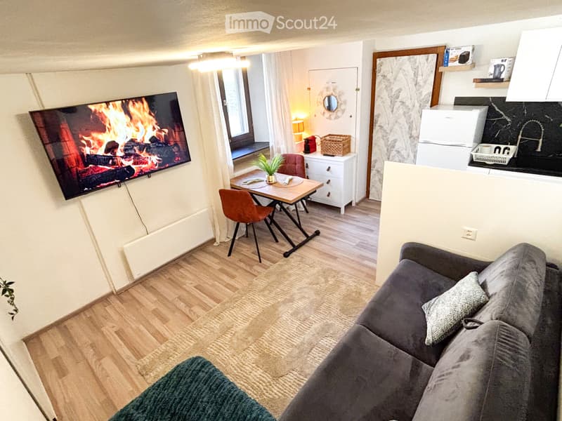 Studio 1.5 30m2 équipé/meublé + place de parc (3)