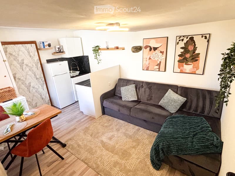 Studio 1.5 30m2 équipé/meublé + place de parc (1)