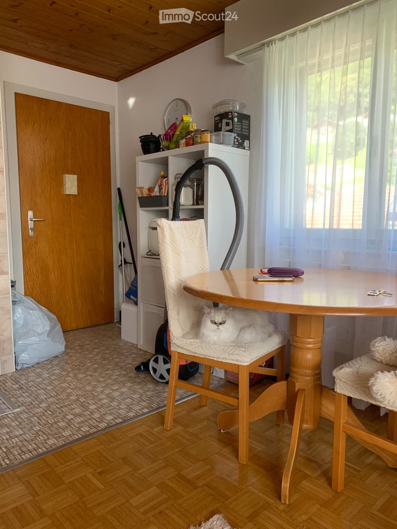Appartement à louer au centre du village d'Ollon (VD) (1)