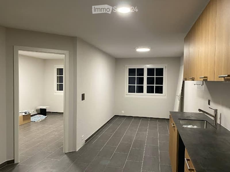 2.5 pièces aux evouettes (2)