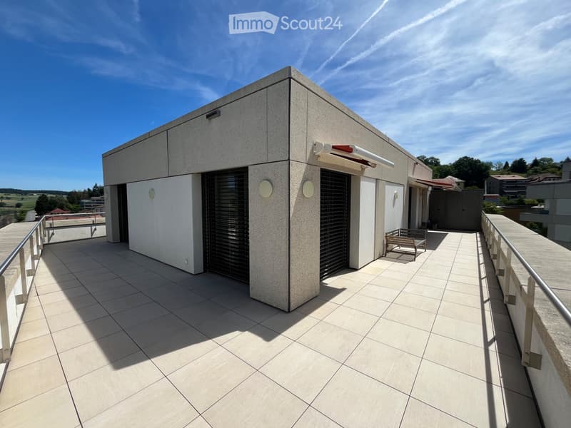 Appartamento attico 3.5 locali con grande terrazza (1)
