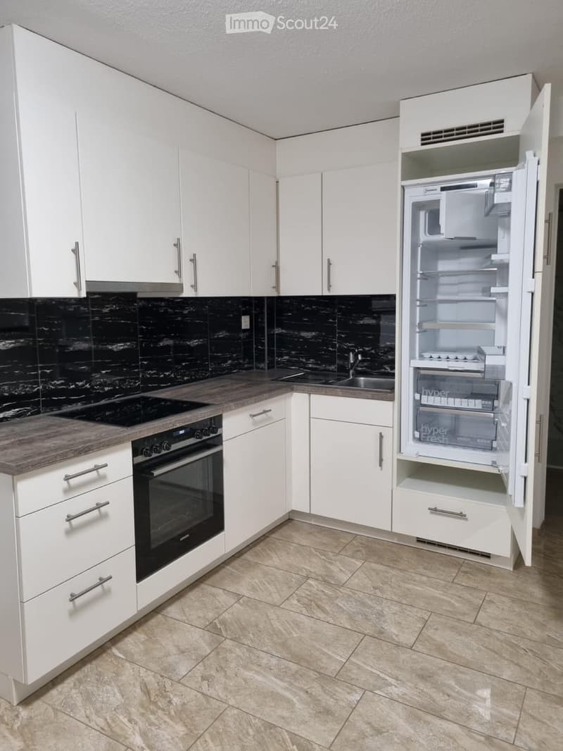 Appartement de 2,5 pièces à louer à Schönenwerd. (4)