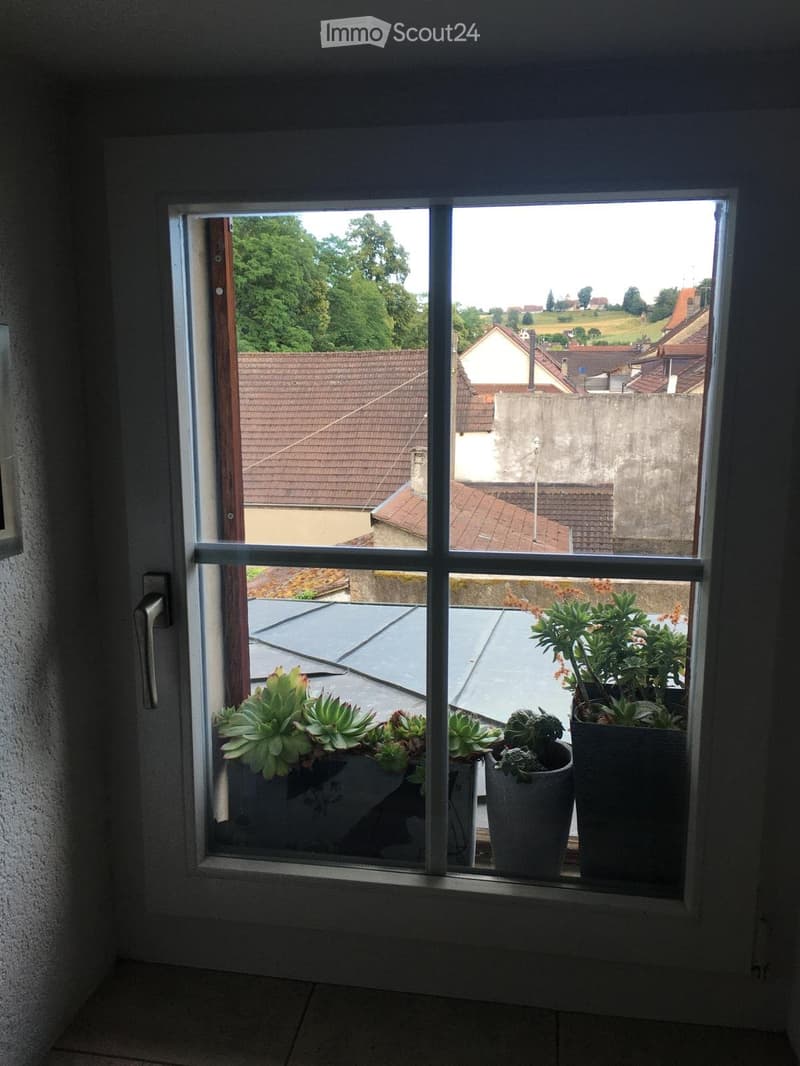 Appartement 3.5 pièce avec vue sur le lac (4)
