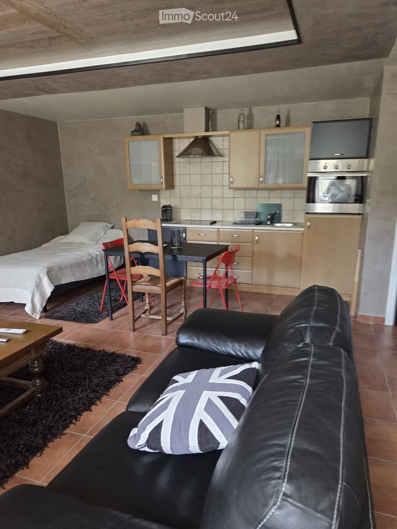A louer chambre studio de 36m2 . (2)