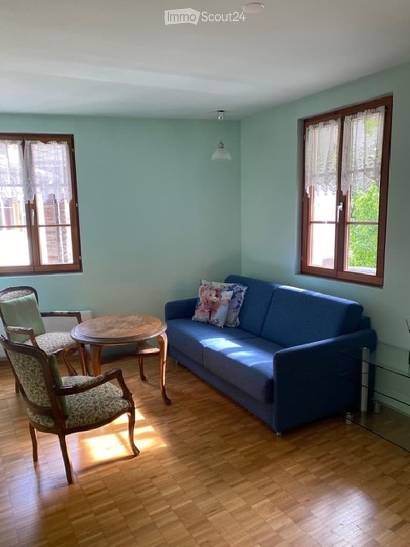 Möbliertes Apartment zur Miete (4)