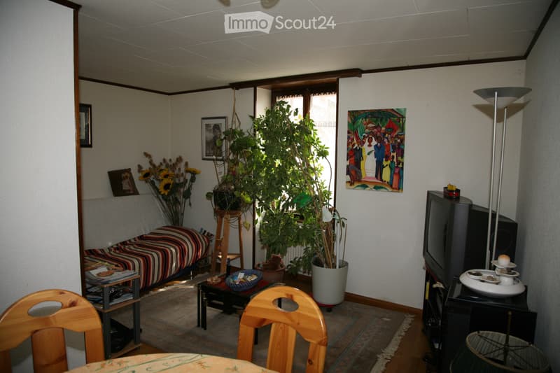 A louer Bex appartement atypique dans cadre de vie agréable (3)