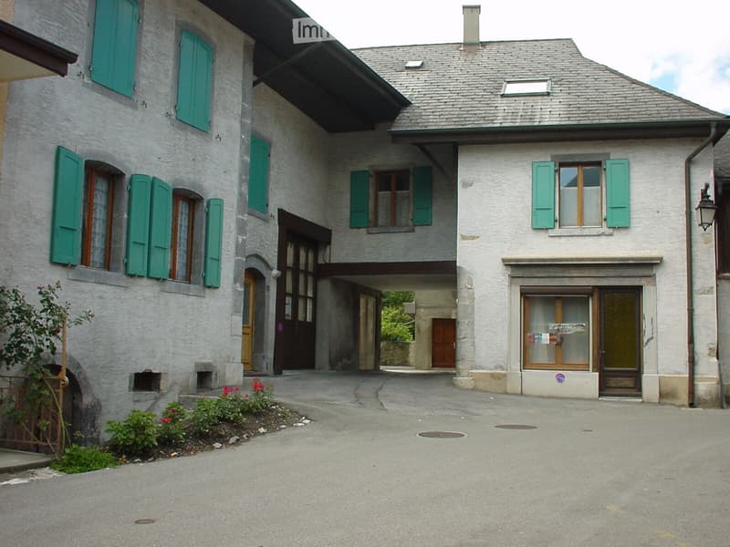 A louer Bex appartement atypique dans cadre de vie agréable (1)