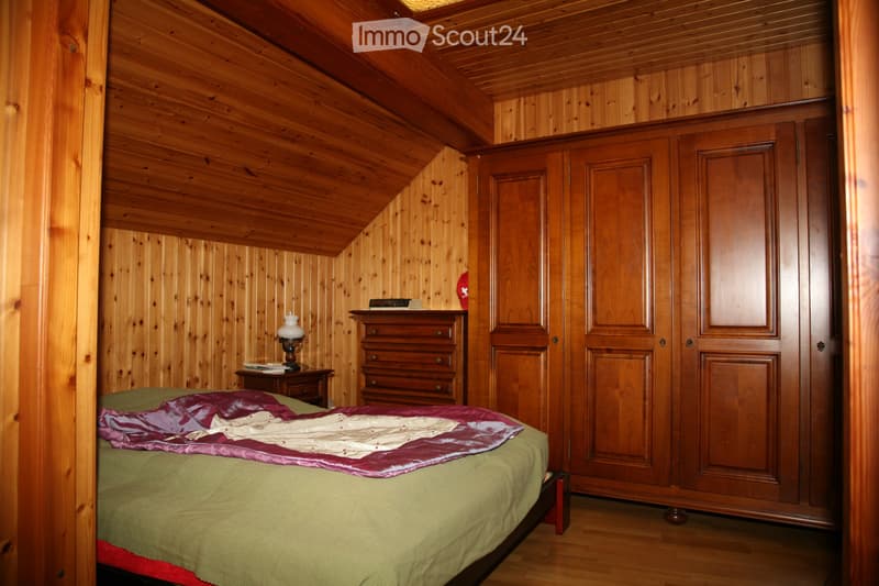 A louer Bex appartement atypique dans cadre de vie agréable (4)