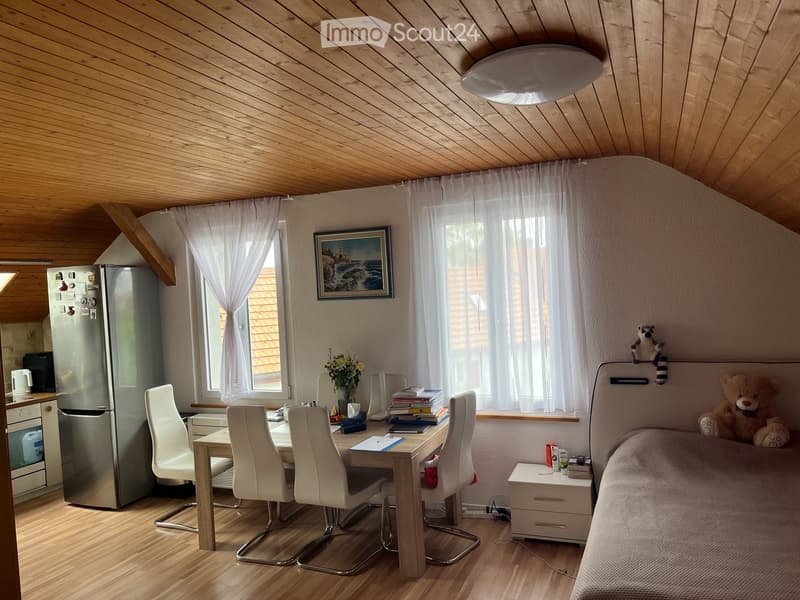 Appartamento accogliente di 2,5 locali a Oberdorf SO (1)