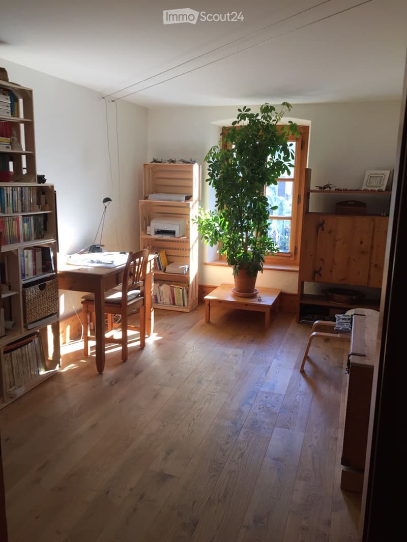 Beautiful and spacious apartment in ST-TRIPHON Village (3)