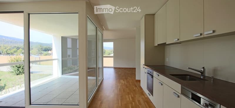 Appartamento al pian terreno 4,5 locali (1)