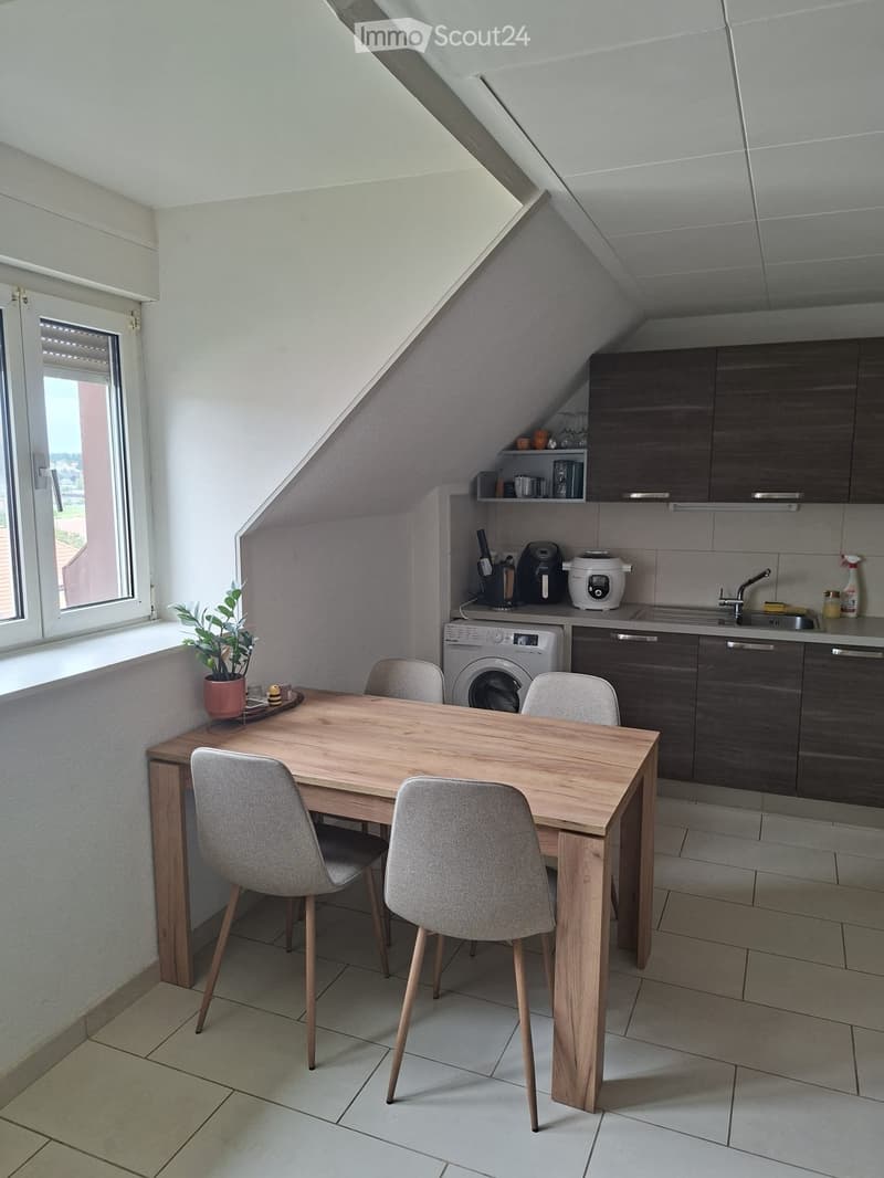 3-Zimmer-Wohnung (2)