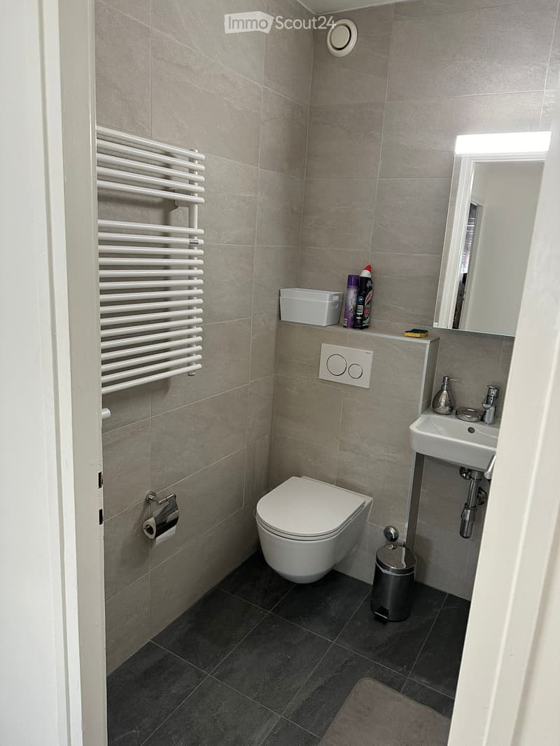Appartement im Zentrum von Genf (3)
