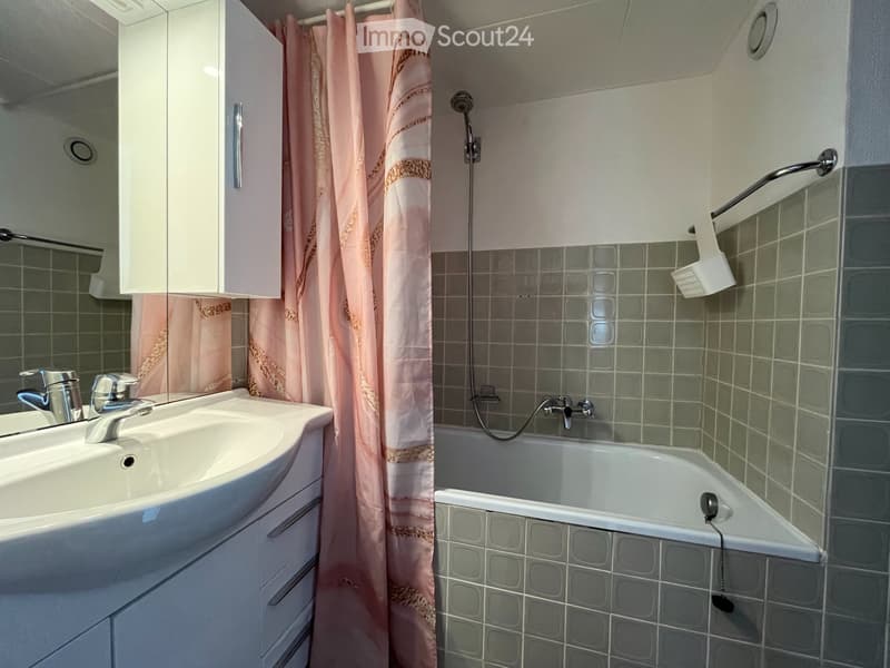 For rent for a year at the foot of the slopes in Haute-Nendaz (4)