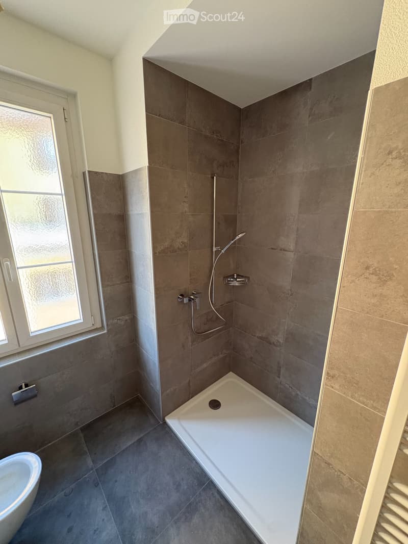 Beautiful 3.5-room apartment completely renovated in St-Imier (5)