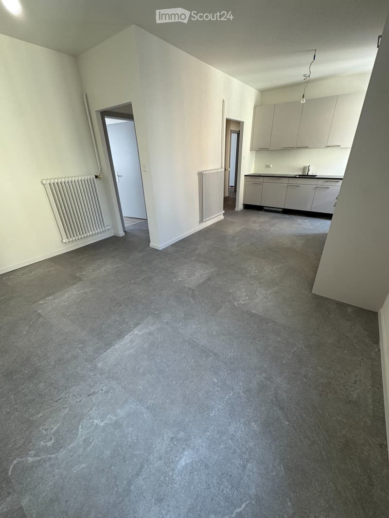 Beautiful 3.5-room apartment completely renovated in St-Imier (1)