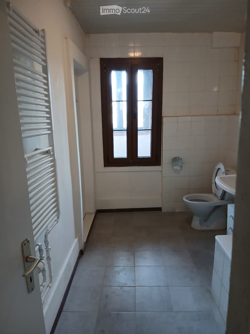 Wohnung 3,5 Zimmer (3)