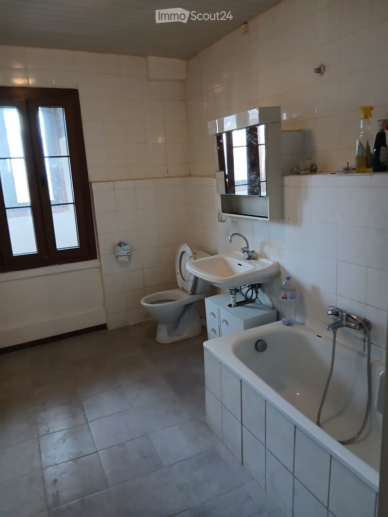 Wohnung 3,5 Zimmer (4)
