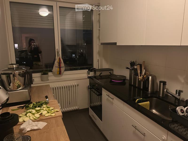 Wiederaufnahme des Mietvertrags für 4-Zimmer-Wohnung im 8. Stock mit Blick auf den See und den Wasserstrahl (1208) (4)