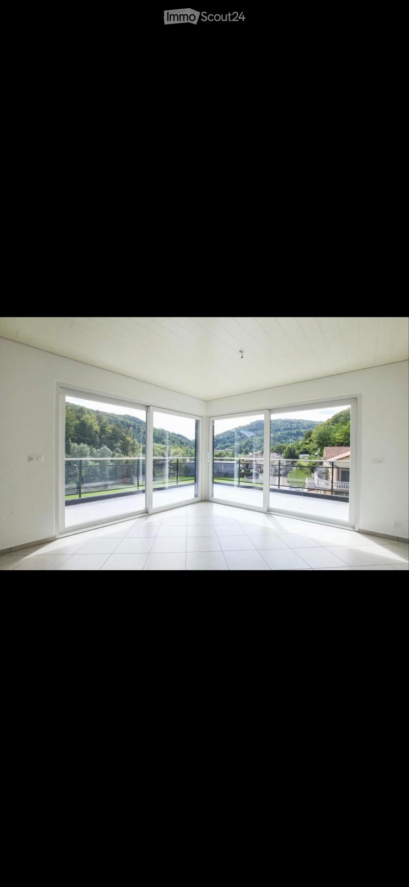 Großes 4.5-Zimmer-Wohnung mit Panoramaterrasse (2)