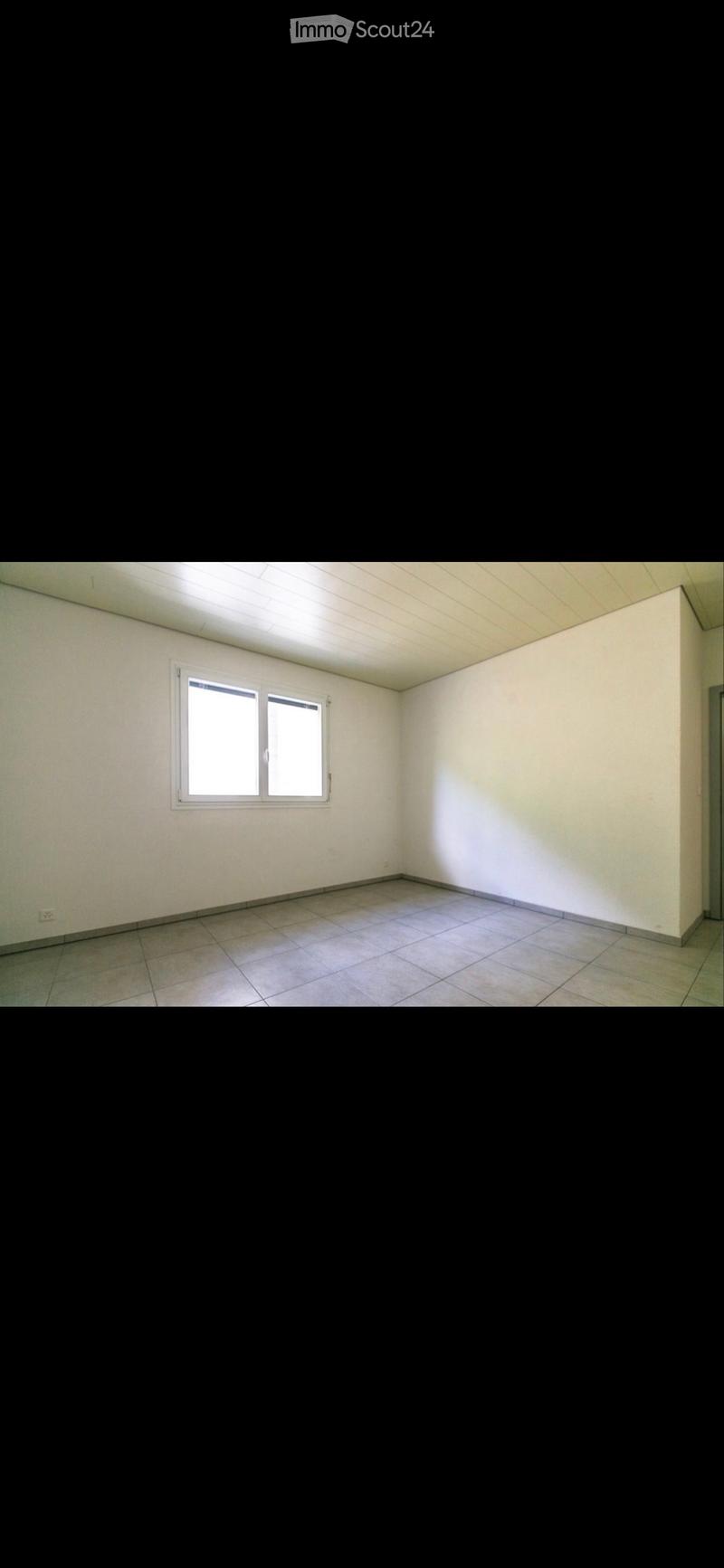Großes 4.5-Zimmer-Wohnung mit Panoramaterrasse (4)