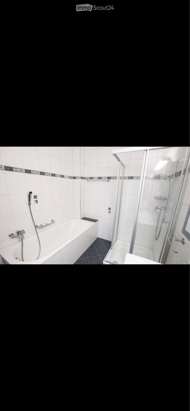 Großes 4.5-Zimmer-Wohnung mit Panoramaterrasse (3)