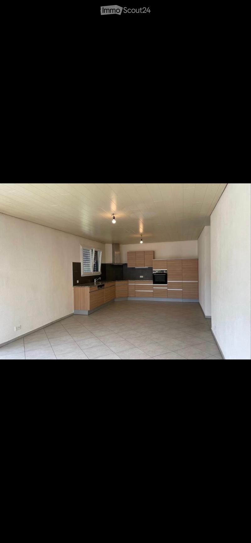 Großes 4.5-Zimmer-Wohnung mit Panoramaterrasse (5)