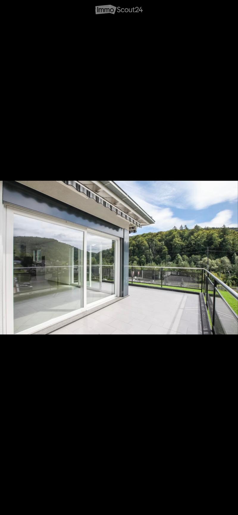 Großes 4.5-Zimmer-Wohnung mit Panoramaterrasse (1)