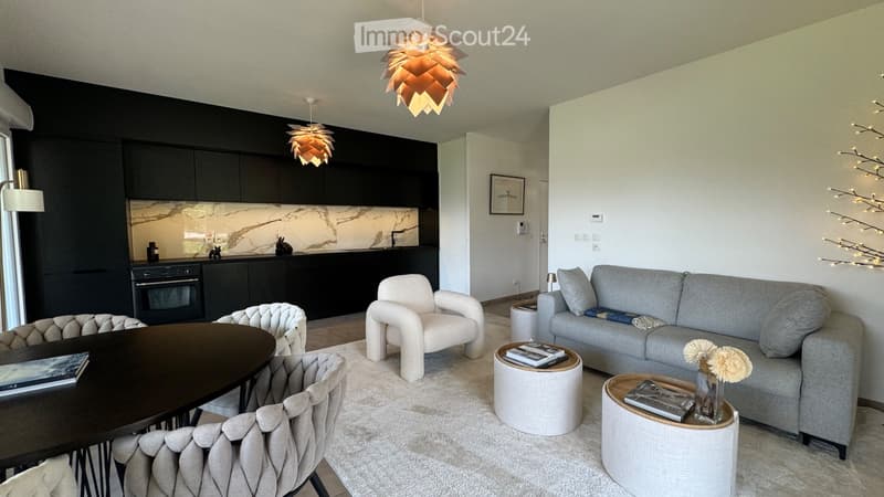 Appartamento T3 arredato, terrazza 20m², a 10 minuti da Ginevra (2)