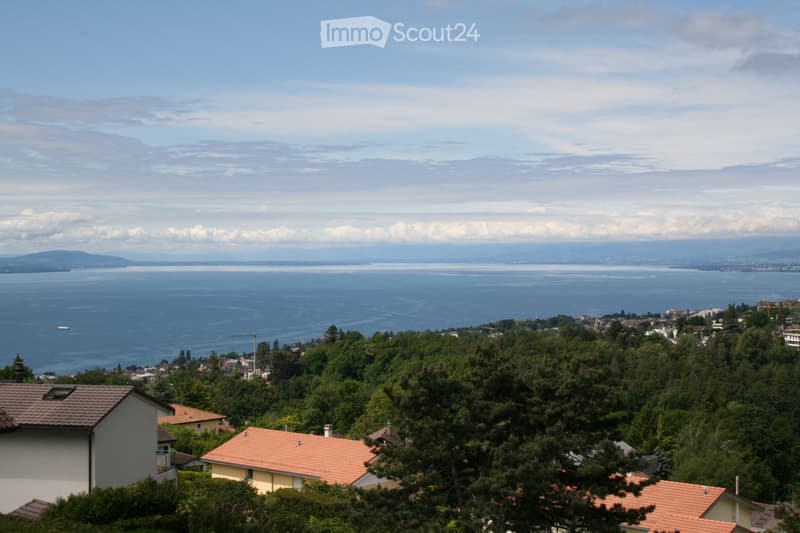 Lumineux 4 pièces - 100 m2 - vue - calme - bien situé (1)