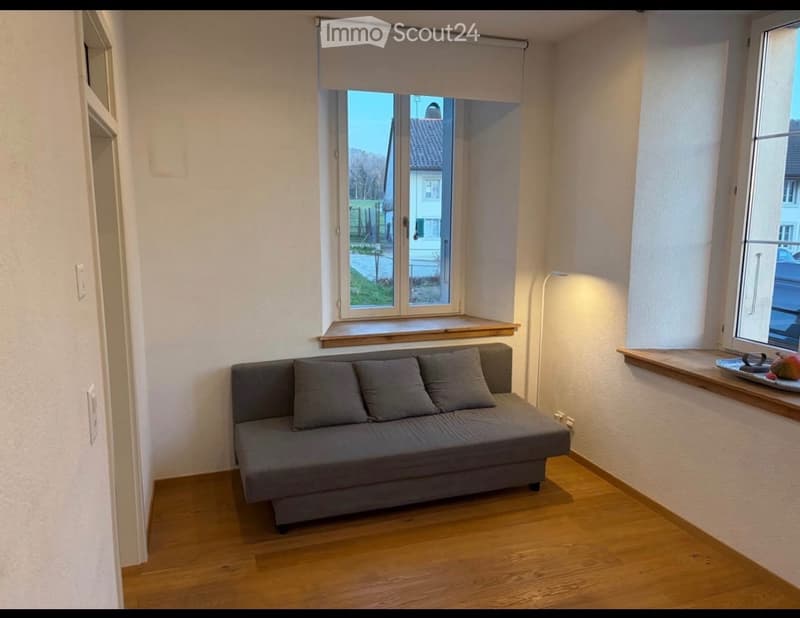 Studio louer avec garage (3)