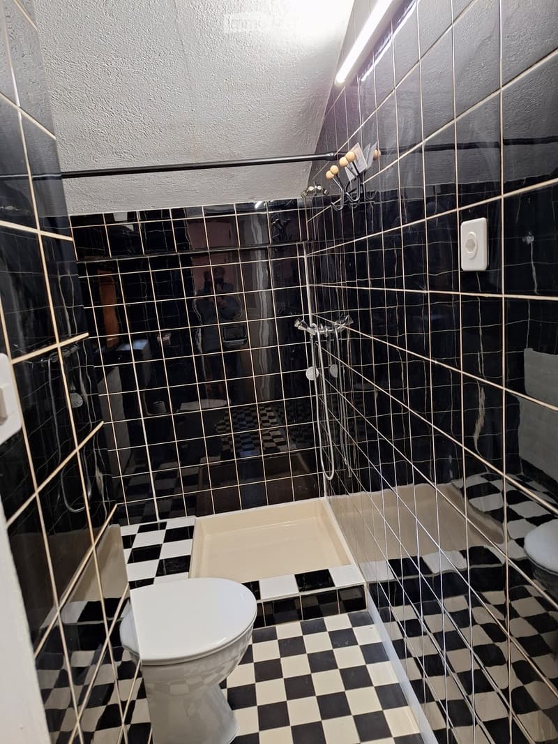 Renovated apartment (3)