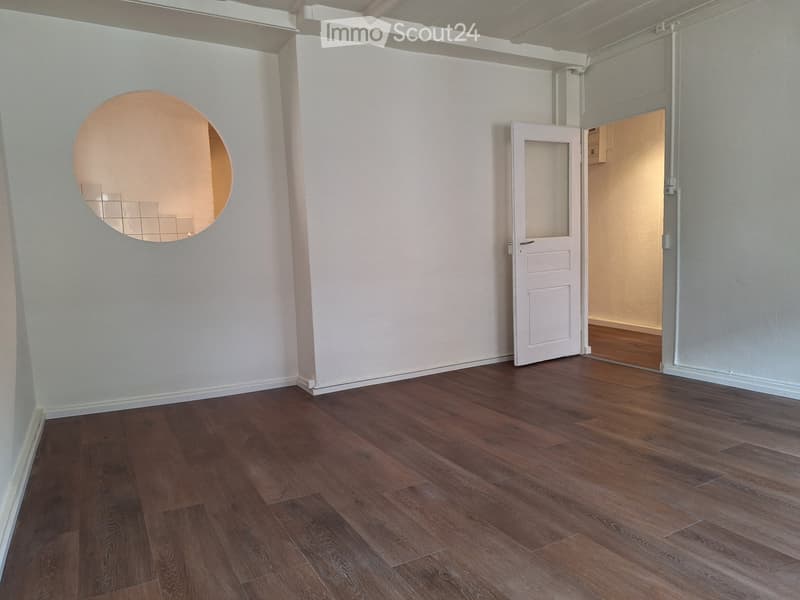 Renovated apartment (1)
