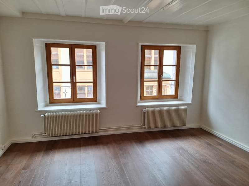 Renovated apartment (4)