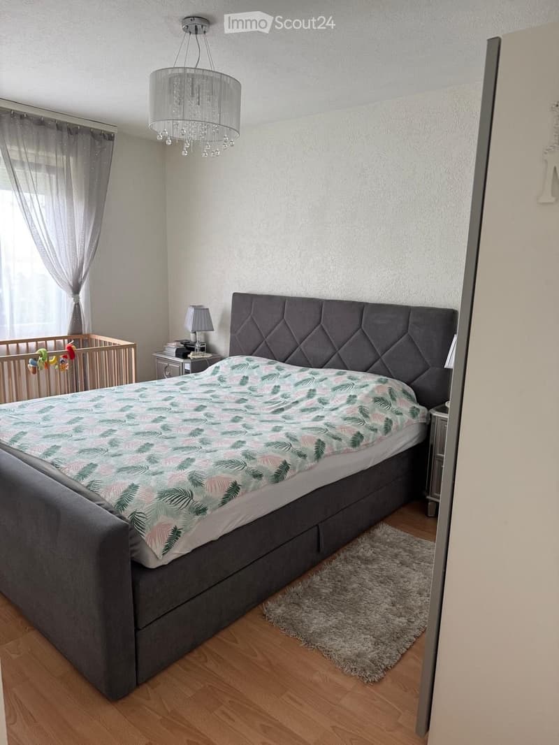Appartamento 2,5 locali (3)