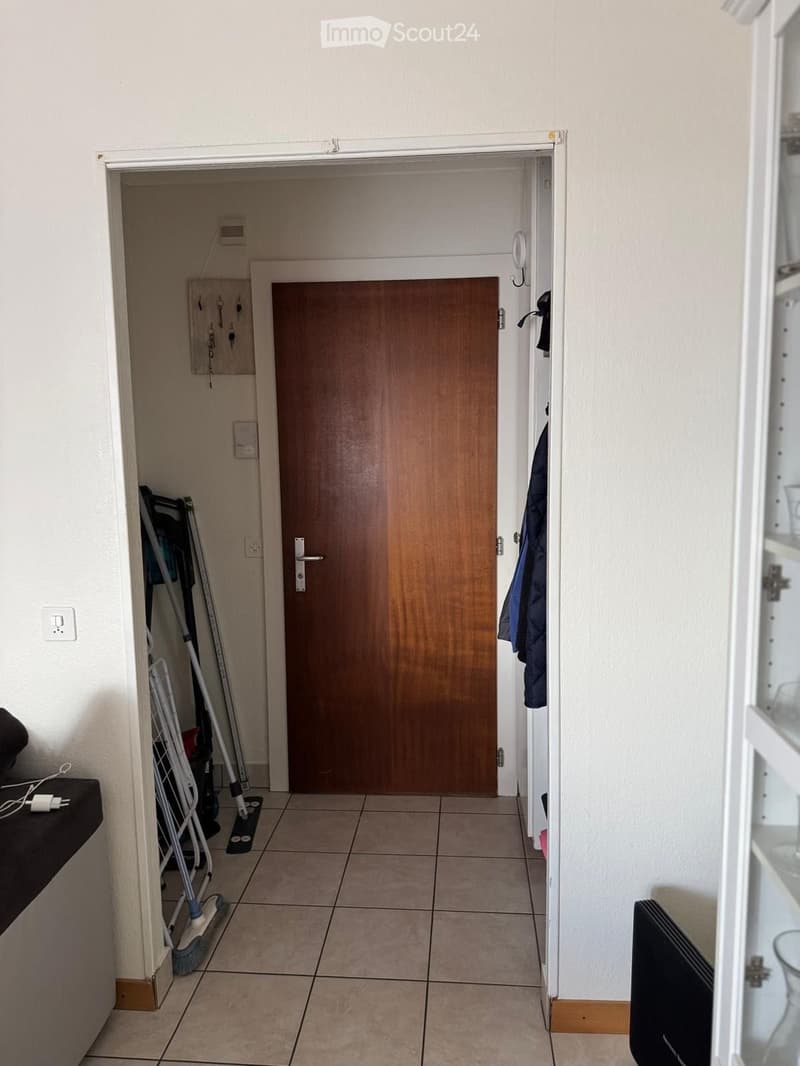 Appartamento 2,5 locali (4)